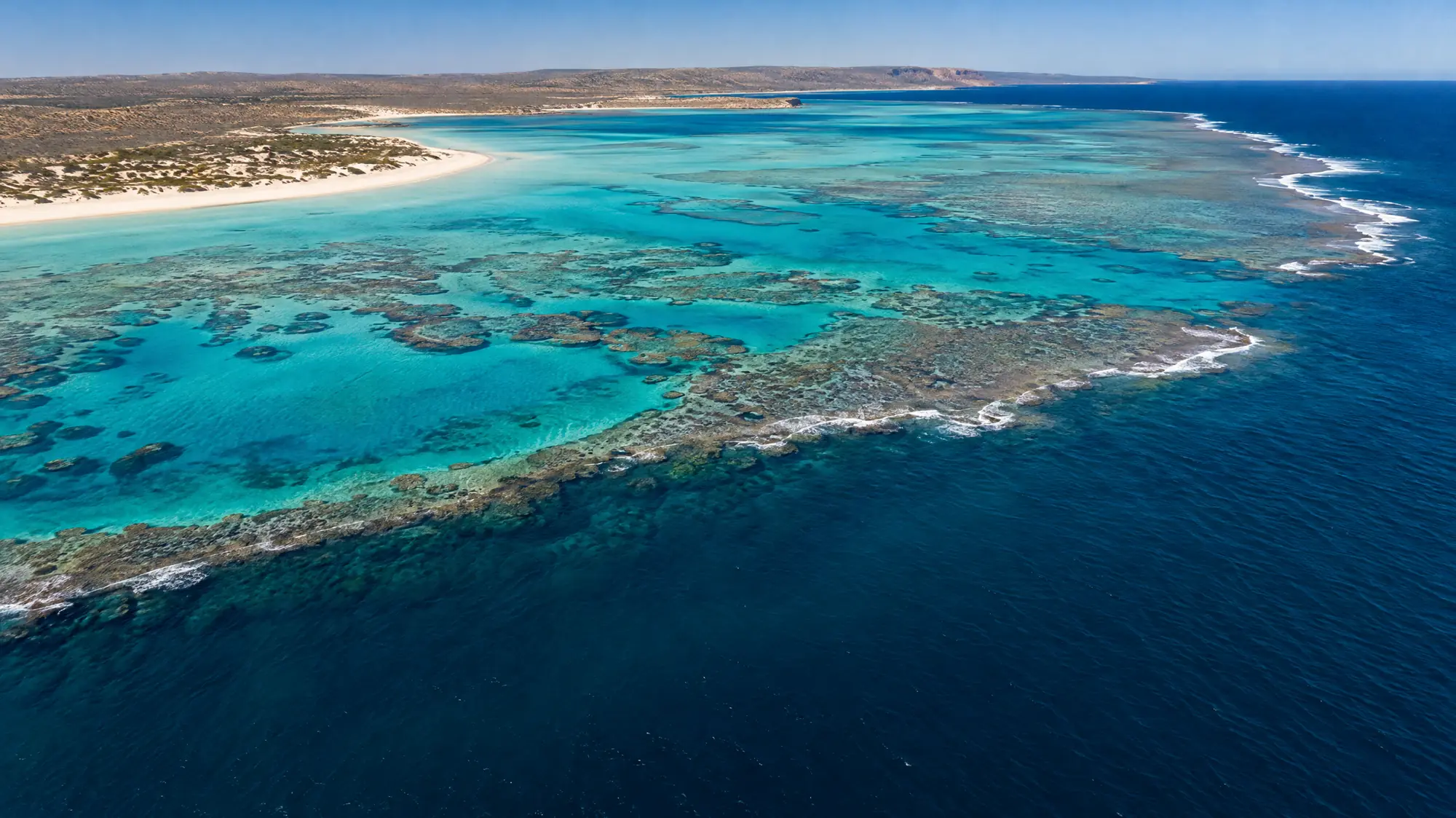 Explore Australia's largest fringing coral reef. Snorkel straight from the beach or book a boat tour to swim alongside whale sharks and manta rays.