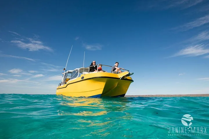 People on a bright yellow boat cruising on turquoise water under blue sky