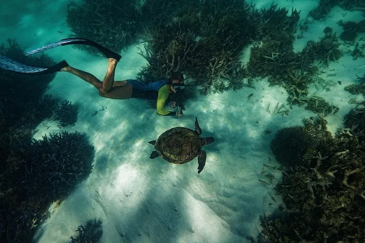 Snorkeler with fins swimming underwater near a sea turtle and coral