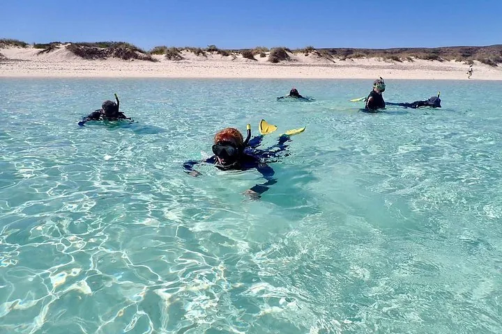 Several people snorkeling in shallow clear turquoise water near a sandy beach