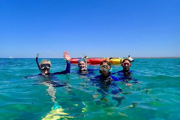 Four snorkelers waving from the water with kayaks in the background