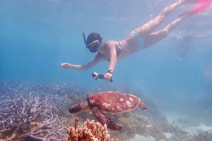Snorkeler diving underwater to photograph a sea turtle over coral